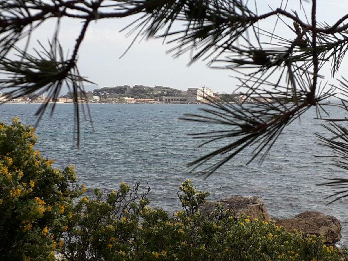 Bandol Nature Et Loisirs: Parking/ Piscine Zewnętrze zdjęcie