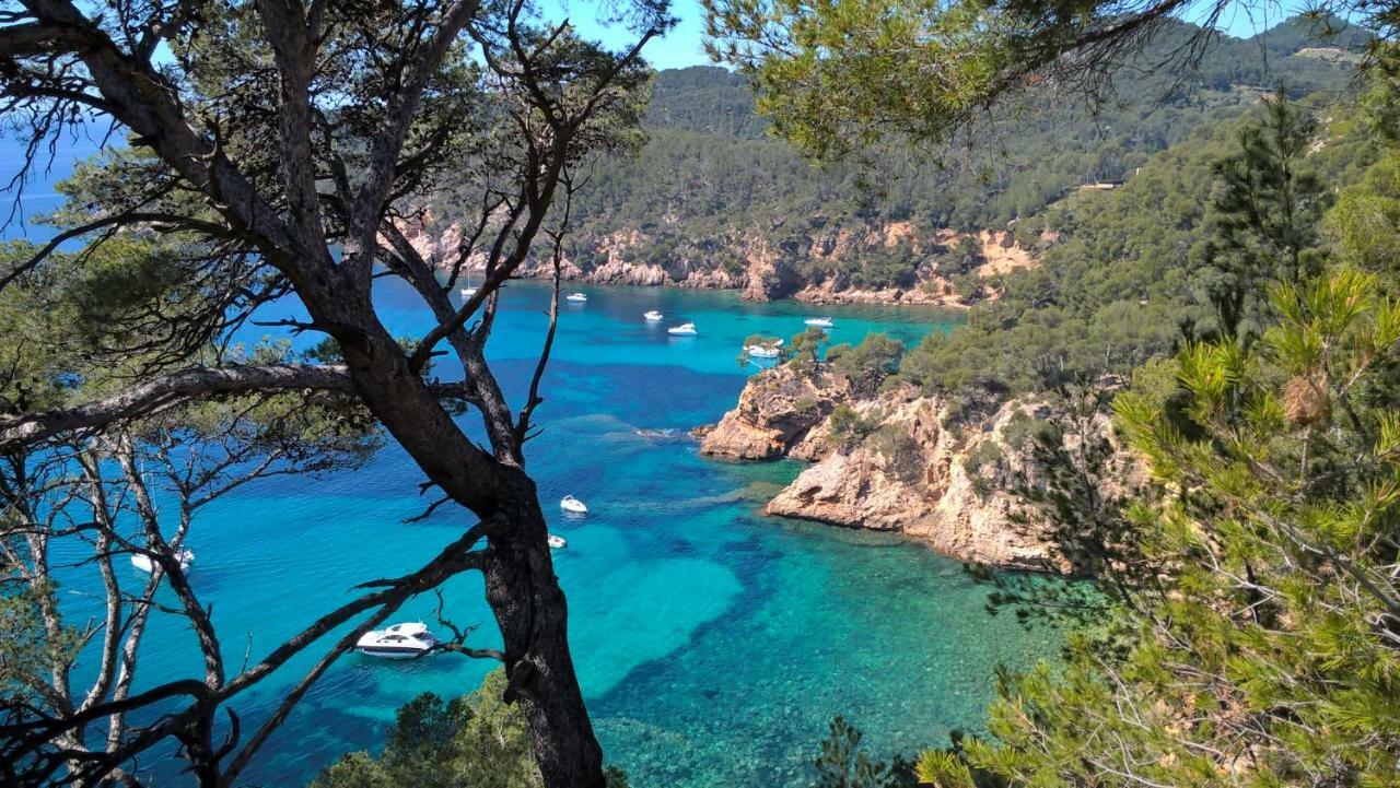 Bandol Nature Et Loisirs: Parking/ Piscine Zewnętrze zdjęcie